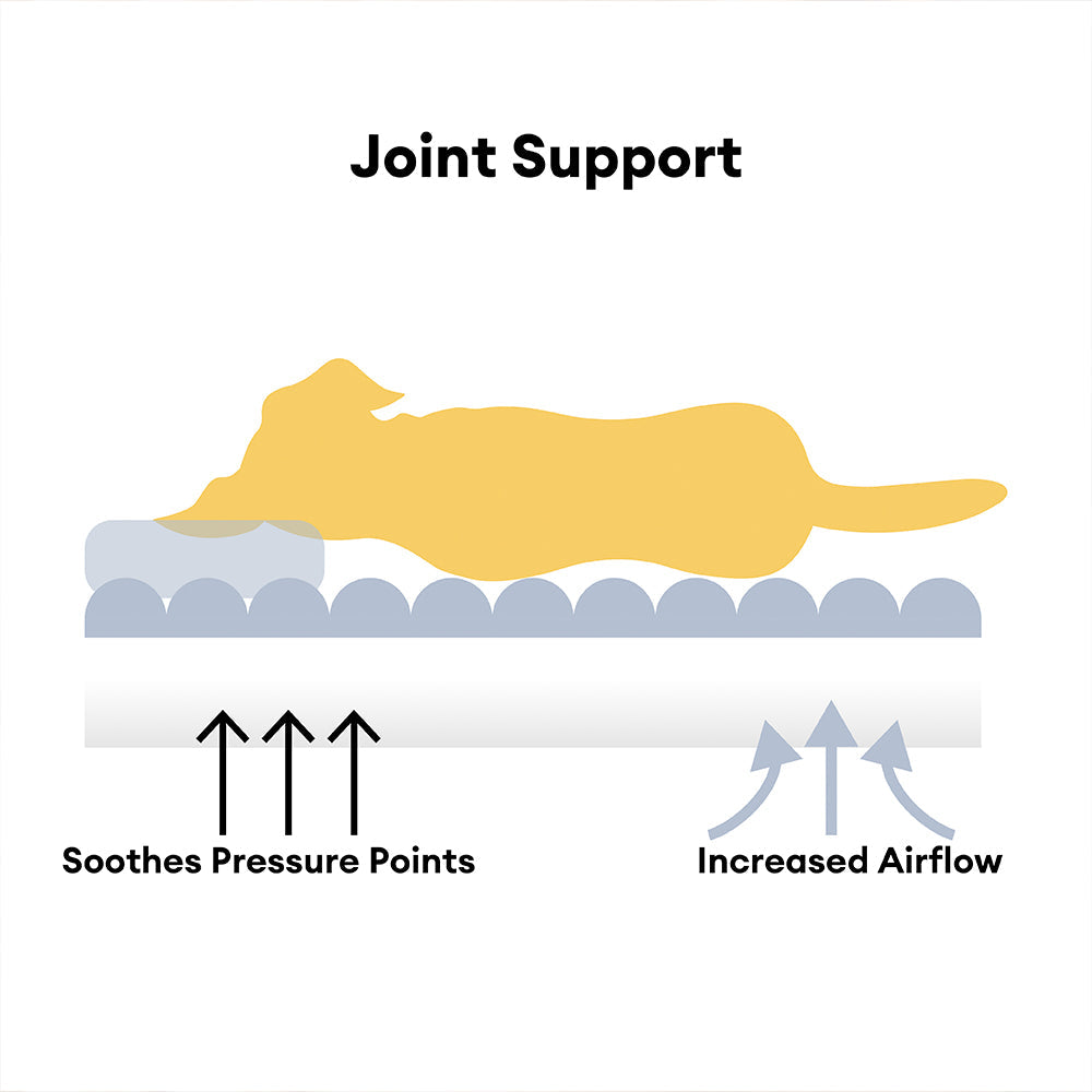 Snoozy Dream™ Orthopedic Dog Bed – Soft, Washable & Supportive Comfort for Your Pet 🐶💤