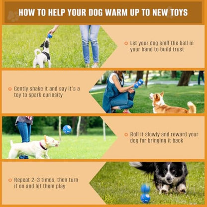 🎾 PetDroid™ Interactive Smart Dog Ball – Endless Fun at the Touch of a Paw! 🐕💡