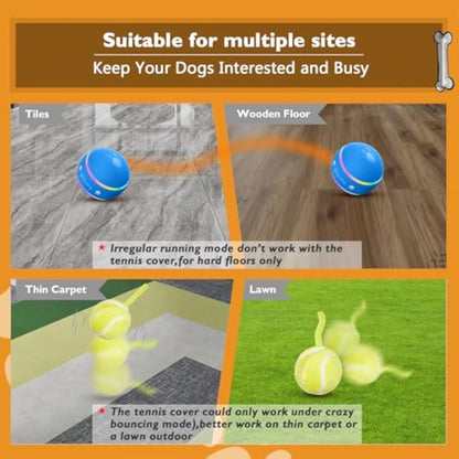🎾 PetDroid™ Interactive Smart Dog Ball – Endless Fun at the Touch of a Paw! 🐕💡